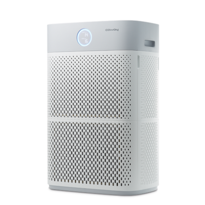 Air Purifier Particulate Filter